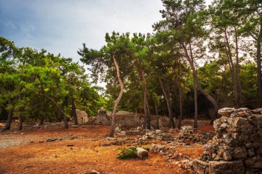 PHASELIS, TURKEY: Ruins of the Ancient city of Phaselis in the forest, village of Tekirova, Antalya province, near Kemer, Turkey.