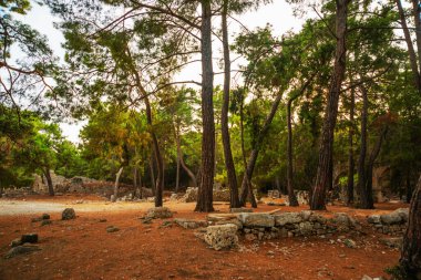 PHASELIS, TURKEY: Ruins of the Ancient city of Phaselis in the forest, village of Tekirova, Antalya province, near Kemer, Turkey.