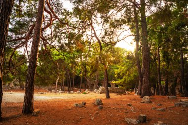 PHASELIS, TURKEY: Ruins of the Ancient city of Phaselis in the forest, village of Tekirova, Antalya province, near Kemer, Turkey.