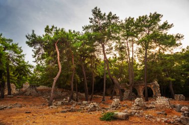 PHASELIS, TURKEY: Ruins of the Ancient city of Phaselis in the forest, village of Tekirova, Antalya province, near Kemer, Turkey.