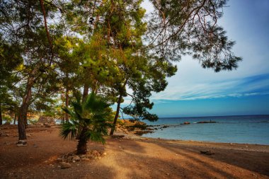 PHASELIS, TURKEY: The scenic view of the beach of Phaselis ancient city on a cloudy day in the village of Tekirova, Antalya province, near Kemer, Turkey.