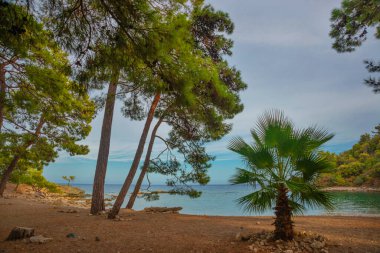 PHASELIS, TURKEY: The scenic view of the beach of Phaselis ancient city on a cloudy day in the village of Tekirova, Antalya province, near Kemer, Turkey.