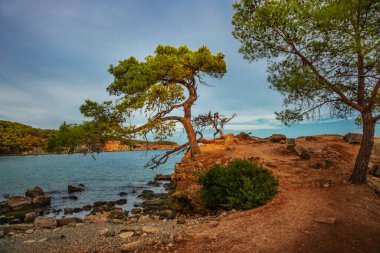 PHASELIS, TURKEY: The scenic view of the beach of Phaselis ancient city on a cloudy day in the village of Tekirova, Antalya province, near Kemer, Turkey.