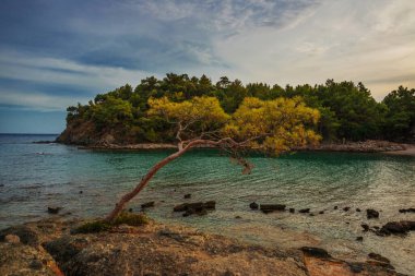 PHASELIS, TURKEY: The scenic view of the beach of Phaselis ancient city on a cloudy day in the village of Tekirova, Antalya province, near Kemer, Turkey.