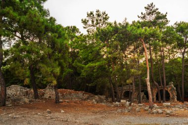 PHASELIS, TURKEY: The main avenue of the Ancient city of Phaselis with a length of 150 meters, the village of Tekirova, Antalya province, near Kemer, Turkey.