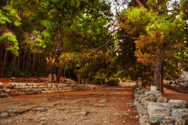 PHASELIS, TURKEY: The main avenue of the Ancient city of Phaselis with a length of 150 meters, the village of Tekirova, Antalya province, near Kemer, Turkey.