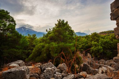 PHASELIS, TURKEY: View of the ruins of the ancient city of Phaselis on a cloudy day in Turkey, Antalya province, near Kemer.