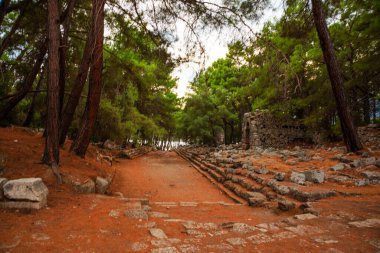 PHASELIS, TURKEY: The main avenue of the Ancient city of Phaselis with a length of 150 meters, the village of Tekirova, Antalya province, near Kemer, Turkey.