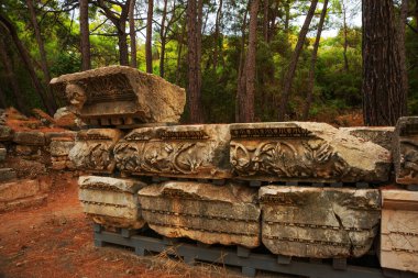 PHASELIS, TURKEY: View of the ruins of the ancient city of Phaselis in the forest, Tekirova village, Antalya province, near Kemer, Turkey.