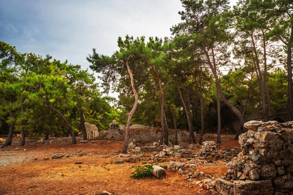 PHASELIS, TURKEY: Ruins of the Ancient city of Phaselis in the forest, village of Tekirova, Antalya province, near Kemer, Turkey.