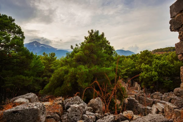 Phaselis Turkey View Ruins Ancient City Phaselis Cloudy Day Turkey — Stockfoto
