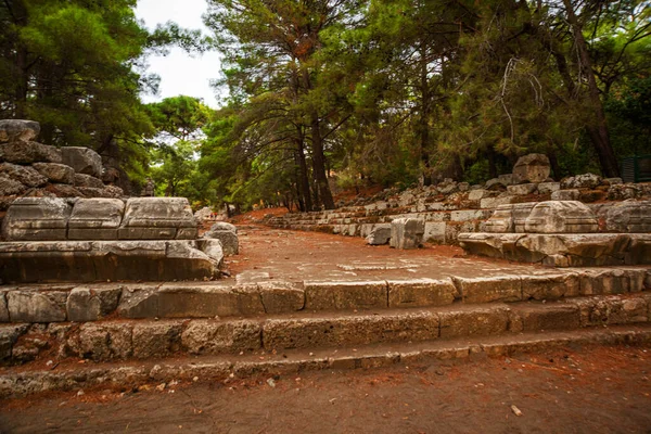 Phaselis Turkey Main Avenue Ancient City Phaselis Length 150 Meters — 스톡 사진