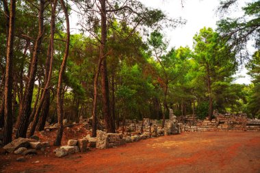 PHASELIS, TURKEY: The main avenue of the Ancient city of Phaselis with a length of 150 meters, the village of Tekirova, Antalya province, near Kemer, Turkey.