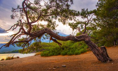 PHASELIS, TURKEY: Beautiful view from the beach to the sea and mountains in the ancient city of Phaselis at sunset, Tekirova village, Antalya province, near Kemer, Turkey.