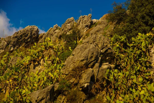 Marmaris Turkey Het Archeologisch Park Van Iuilik Rotsen Van Welzijn — Stockfoto