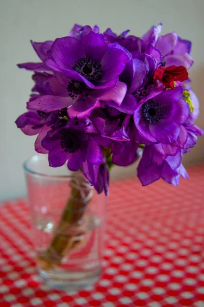 Hermosas Flores Púrpuras Vaso Sobre Mantel Rojo Blanco — Foto de Stock