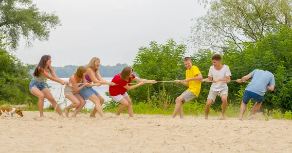 a team of teenagers tug of war on the shore. a group of boys and girls compete in tug of war.