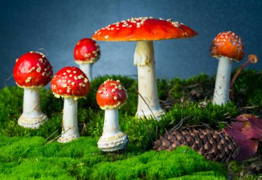 Ormanda tarım mantarı uçur