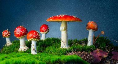 Ormanda tarım mantarı uçur