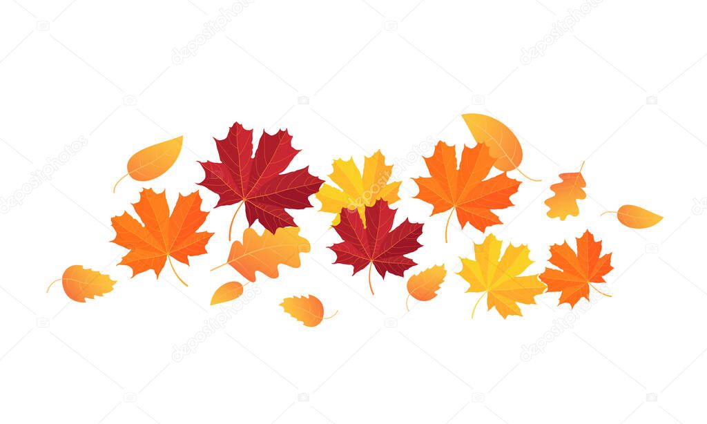  Leaf fall. Vector leaves flying in the wind. Horizontal line of red and yellow leaves, vector illustration isolated on white background.