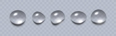  Su damlaları hazır. Şeffaf arkaplanda parlak su damlaları izole edilmiş. Vektör ortamı.