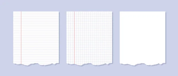 Kırmızı kenarlı çizgili ve kare defter sayfaları. Yırtık kağıt parçaları. Beyaz arkaplanda vektör ortamı izole edildi.
