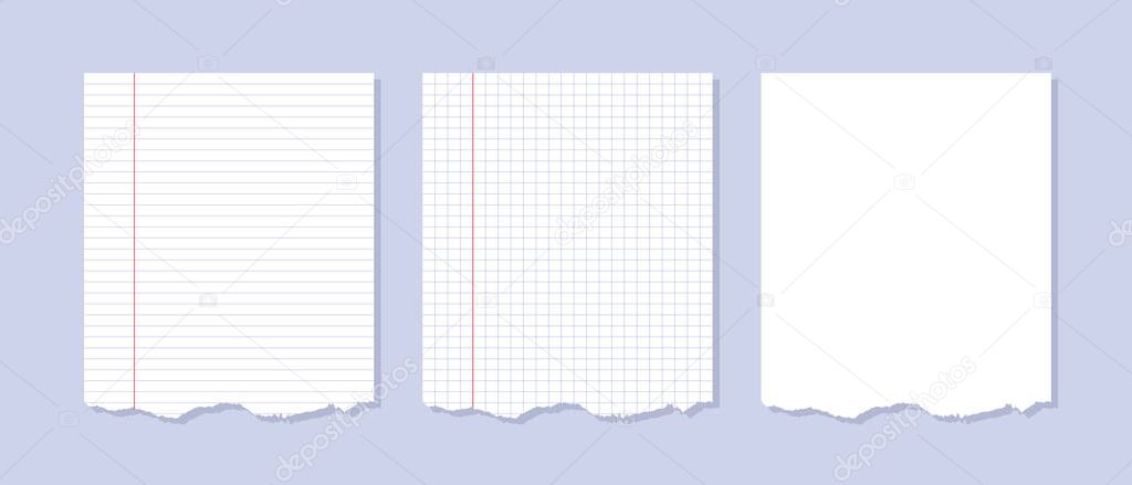 A set of lined and squared notebook pages with red margins. Torn sheets of paper. Vector clipart isolated on white background.