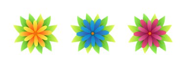  Çiçekler hazır. Çiçek ikonları. Şeffaf arkaplanda vektör iklimi izole edildi.