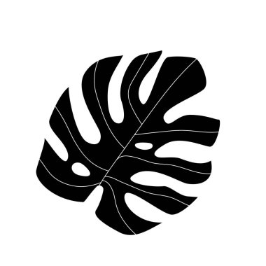 Canavar yaprağı. Beyaz arka planda siyah simge izole edildi. Vektör ortamı.