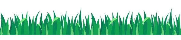 Yeşil Çimen Kusursuz Sınır Kusursuz Boyutlu Çim Hattı Beyaz Arkaplanda — Stok Vektör