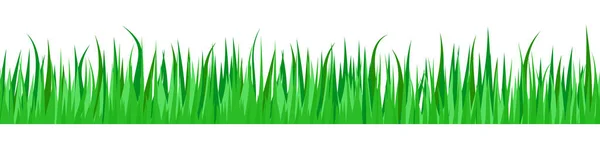 Frontera Sin Costuras Hierba Verde Línea Inconsútil Hierba Verde Clipart — Vector de stock