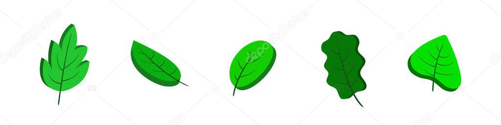 3d leaves. Isometric green leaves. Set isolated on white background. Vector clipart.