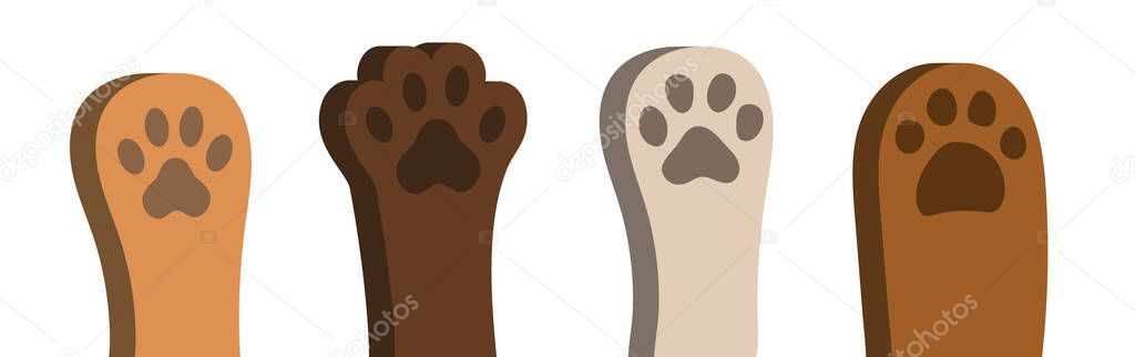 3d paws of a cat or dog. Paws set. Cute animal paws. Vector clipart isolated on white background.