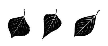 Kara yaprak simgeleri. Vektör seti beyaz arkaplanda izole edildi. Vektör ortamı.