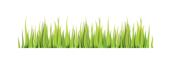 Grass Vector Clipart Set Isolated White Background — Stock Vector