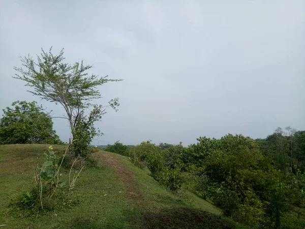 Belle Colline Avec Des Arbres Verts Photo — Photo