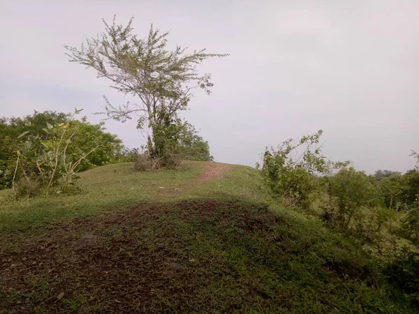 Yeşil Ağaçlı Güzel Tepe — Stok fotoğraf