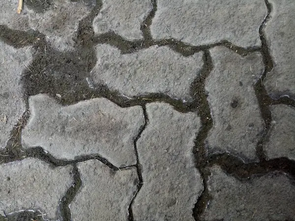 Döşeme Taşları Kirli Biraz Islak — Stok fotoğraf