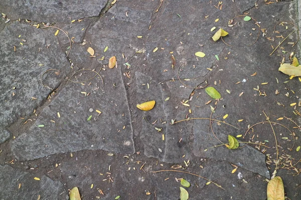 Düşen Yapraklarla Dolu Istiflenmiş Taşlardan Oluşan Sokaklar — Stok fotoğraf