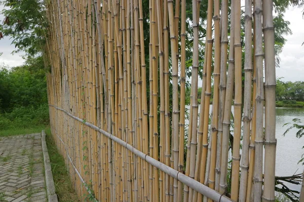 Cerca Feita Bambu Paralelo Arranjo Foto — Fotografia de Stock