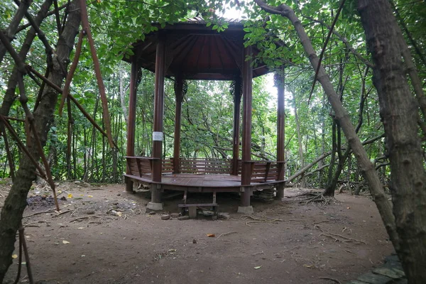 Dřevěný Přístřešek Uprostřed Mangrovového Lesa Foto — Stock fotografie