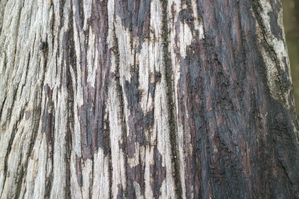 Стара Дерев Яна Текстура Колишня Залізнична Колія Фото — стокове фото