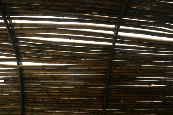 Ściany Wykonane Schludnego Ułożenia Bambusa Zdjęcie — Zdjęcie stockowe