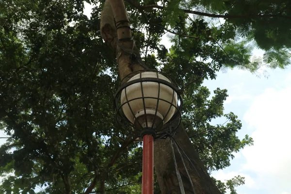 Стара Садова Лампа Під Тіньовим Деревом Фото — стокове фото
