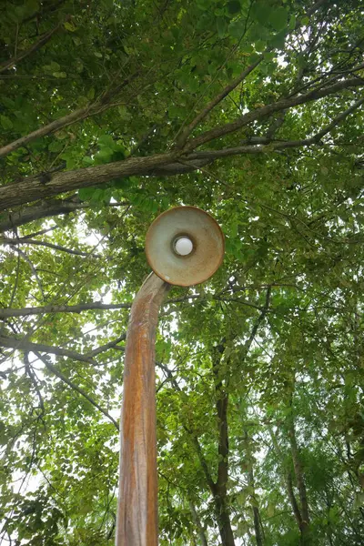 Straßenlaterne Unter Dem Baum Foto — Stockfoto