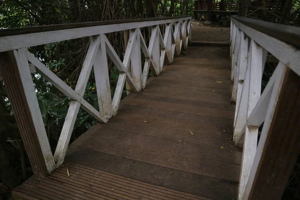 White Wooden Bridge Middle Mangrove Forest Photo — Stock Photo, Image