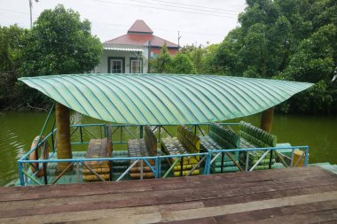 Mangrove ormanının kenarında basit bir tekne bataklık fotoğrafı.