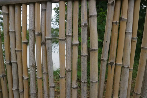 Забор Параллельной Бамбуковой Композиции Фото — стоковое фото