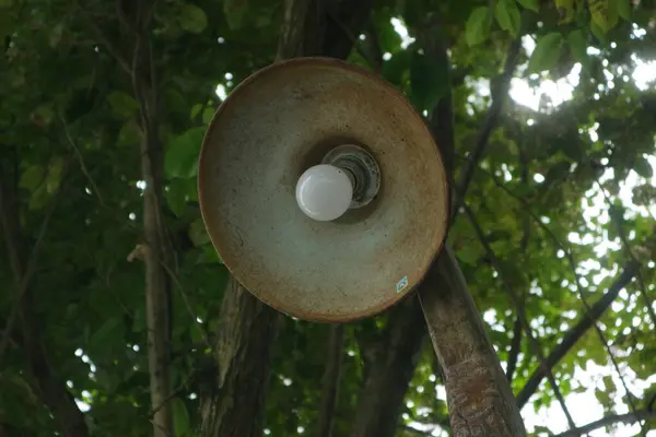 Lamp Shady Tree Photo — Stock Photo, Image