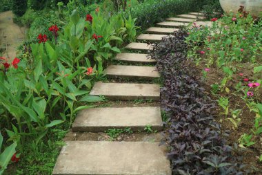 Park fotoğrafının ortasındaki patika